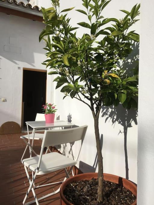 Apartamento Catedral - Francos Sevilla
